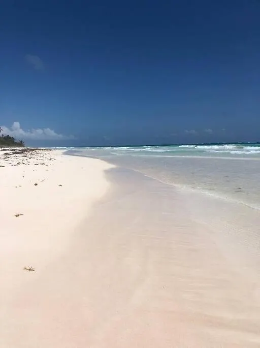 Luxury 2 Bdr 2 Bth 2 Bikes Jacuzzi Fiboptic Wifi. Lägenhet Tulum