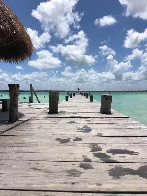 Luxury 2 Bdr 2 Bth 2 Bikes Jacuzzi Fiboptic Wifi. Lägenhet Tulum 0*,