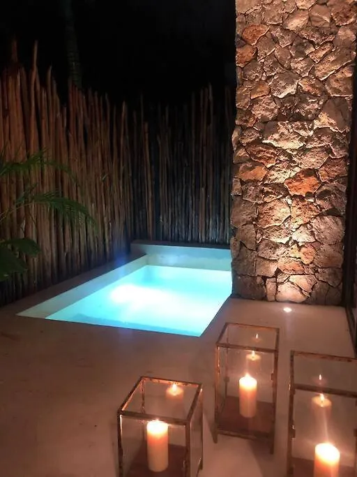 公寓 图卢姆Luxury 2 Bdr 2 Bth 2 Bikes Jacuzzi Fiboptic Wifi.公寓 墨西哥